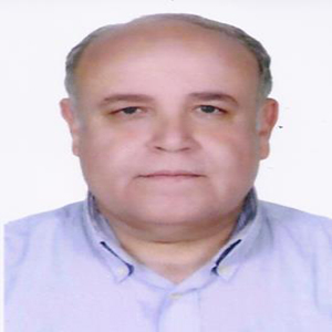 Atef Abdelhamid Khalil Elekiabi