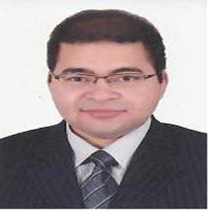 Amr Farouk