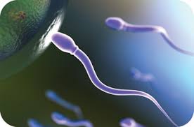 Grave Misconceptions About Prostate Cancer - When to visit andrology clinics in Qatar ?